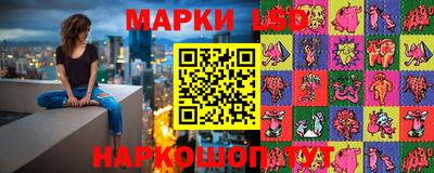 гидра Будённовск