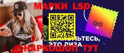 гидра Будённовск