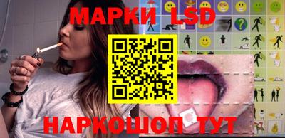 гидра Будённовск