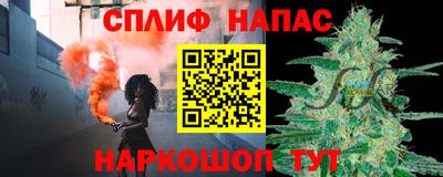 гидра Будённовск