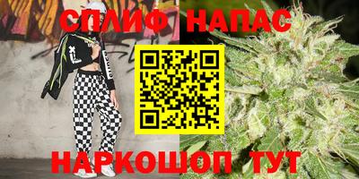 гидра Будённовск