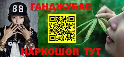 гидра Будённовск