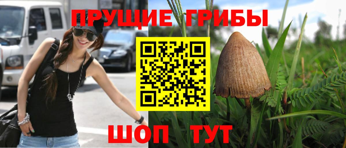 Галлюциногенные грибы мухоморы Рыбинск